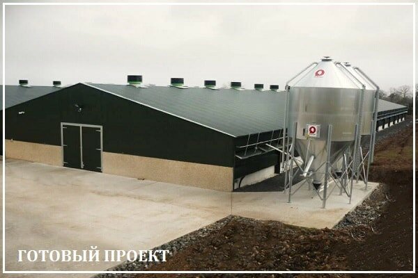 Этапы возведения птицефабрики от завода ВелесТент-пск